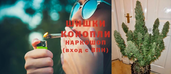 сатива Богородск