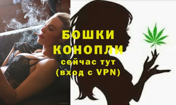 трава Богородицк