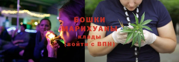 трава Богородицк