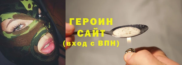 амф Снежногорск