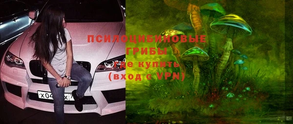 метамфетамин Богданович